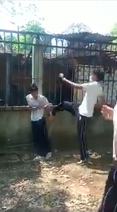 Estudiante que practica Jiu-Jitsu da golpiza a un compañero de secundaria  en Chiapas (video) | Chiapasparalelo
