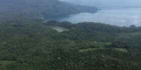 La Selva Lacandona ocupa formalmente 1.8 millones de hectáreas. Foto: Ángeles Mariscal