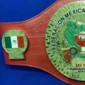 Imagen de Federación Mexicana de Boxeo