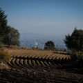 Vista de la Ciudad de México desde los campos de cultivo en la Alcaldía Tlalpan, una de las principales zonas donde se cultiva maíz nativo. Crédito: Bertha Foundation