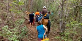 Cientos de habitantes de la zona fronteriza de Chiapas escapan de los Cárteles de la droga caminando entre montañas. Foto tomada por la población afectada