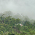 Montañas de Chiapas. Foto: Ángeles Mariscal