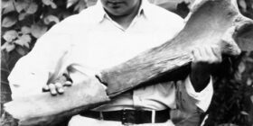  Eliseo Palacios cargando una ulna (hueso de la extremidad anterior) de mamut, recuperada en el municipio de Villaflores en el año de 1941. Fuente: Acervo personal de Miguel Ángel Palacios Rincón.
