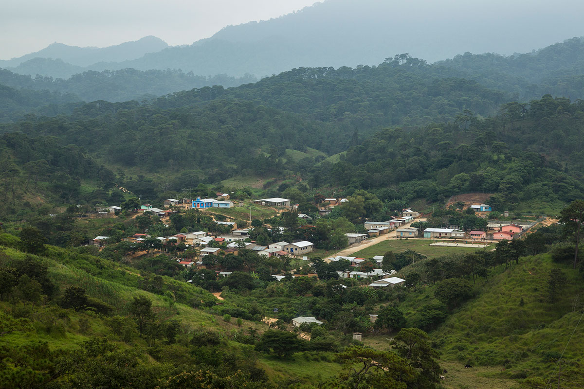 El estado de Chiapas, su complejidad social, sus características geográficas, su variedad cultural, en suma, la situación social de la entidad en su más amplia acepción, han sido una compleja temática que los académicos han trabajado, tanto en Chiapas mismo como fuera del estado.