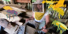 Las guardianas de las abejas
Ilustración: La Marea