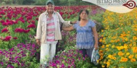 Victorina e Isaías, 40 años cultivando flor de muerto en Oaxaca: “Sembramos por tradición a pesar de que ya no llueve como antes”
Foto: Diana Manzo