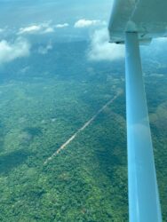 Nuevas pistas clandestinas de aterrizaje en la Selva Lacandona