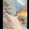 Incendio forestal en San Lucas Quiaviní calcina a cinco comuneros; tardía ayuda gubernamental
Foto. Especial