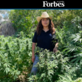 Empresaria chiapaneca del cannabis aparece en Forbes 
Foto: Forbes México