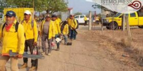 Denuncian desinterés del gobierno de Oaxaca de sofocar incendio, que lleva 12 días en Chimalapas
Foto: Cortesía