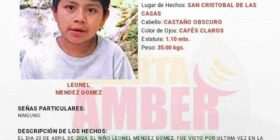 Ficha de búsqueda de Leonel Méndez Gómez