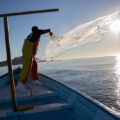 Felipe lanza la atarraya a las seis de la mañana, la hora cuando la sardina está más activa, la mejor carnaza para la jornada de pesca. Los parditos, como se autodenominan los habitantes del islote, han creado una zona de refugio pesquero para preservar la fauna marina, su sustento alimenticio, comercial y turístico