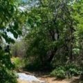 El cuerpo de una mujer de 23 años de ea fue localizado en un camino rural del municipio de Cintalapa. Foto: Cortesía