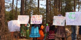 “Alto a la tala ilegal”; comunidad rarámuri exige respeto a su territorio
Foto: Raíchali