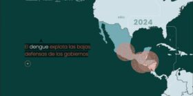 El dengue explota las bajas defensas de los gobiernos
Ilustración: Pop Lab