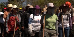 Brigadistas se preparan a iniciar la búsqueda en el Ajusco. Foto: Laura Buconi
Foto: Pie de Página