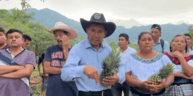 ¿Qué voy a hacer si me viene a quitar un pedazo de mi tierra?; revira campesino a Eduardo Ramírez
Foto: Captura