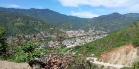 Motozintla pierde un símbolo: denuncian tala de histórico árbol de copal
Foto: Cortesía