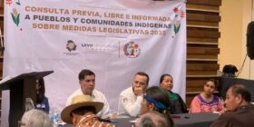 “Eso no se pregunta”, reclaman por falta de intérpretes en consulta indígena hecha por Congreso del Estado
Foto: Raíchali