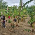 UNICACH impulsa nanofertilizantes como alternativa sustentable para el campo chiapaneco 
Foto: UNICACH