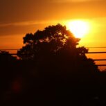 Imagen de https://ahoracde.com/