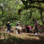Estudiantes y profesores de Arqueología. Foto: Cortesía