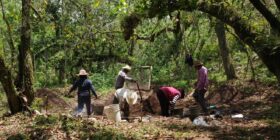 Estudiantes y profesores de Arqueología. Foto: Cortesía