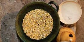 Imagen: https://bebidasdeoaxaca.com