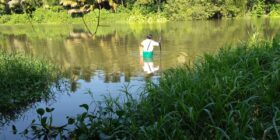 Fotografía: David Herrera López